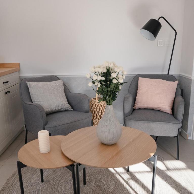 Nest 382 - Apartman sa Terasom - 11