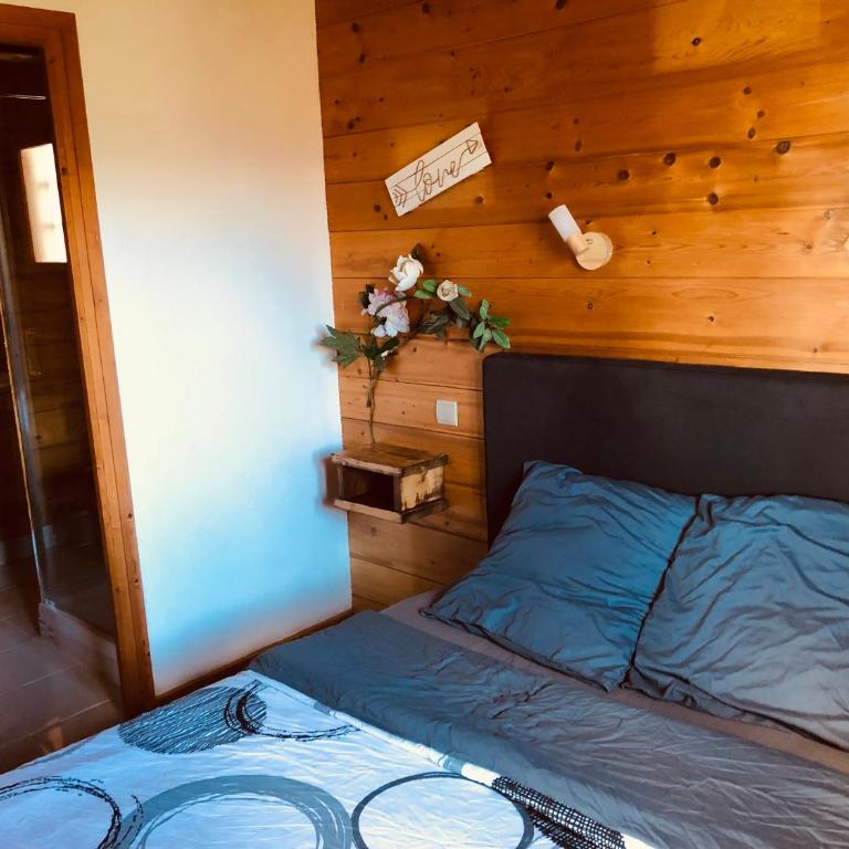 Magnifique chalet en Haute-Savoie, tout confort, proche des pistes de ski - Chalet 2 Chambres - 32