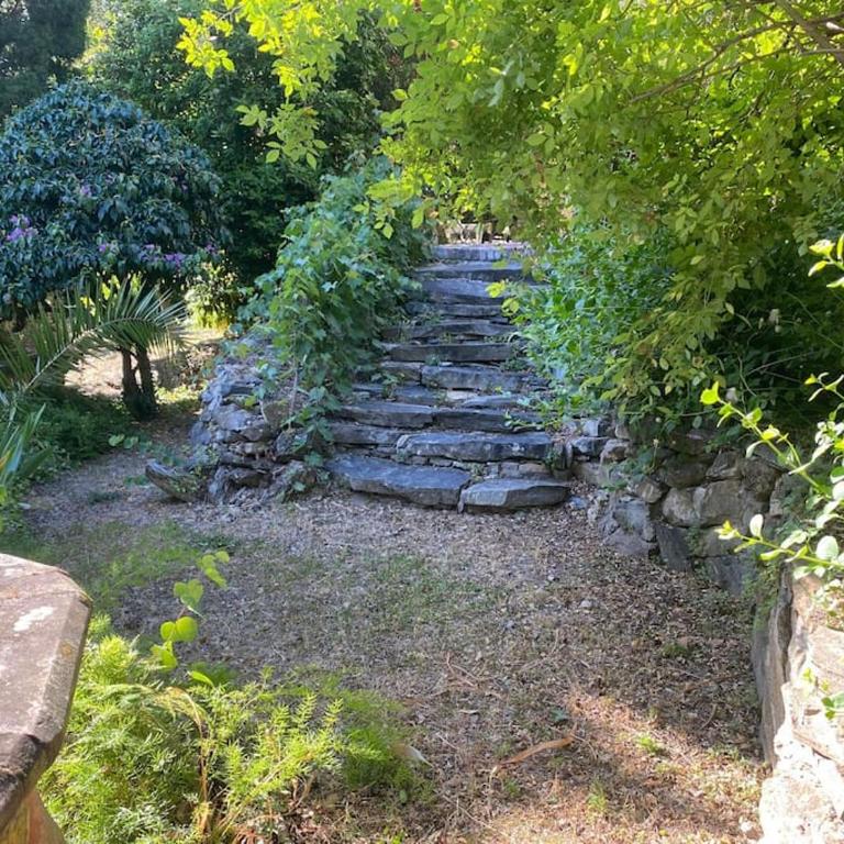 La Vignetta Villa con giardino - Casa con 6 Camere da Letto - 15