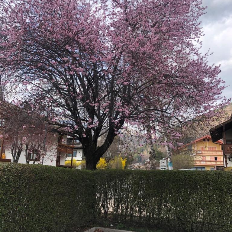 CASA PINUCCIA APPARTAMENTO EST - Appartamento con 2 Camere da Letto - 8
