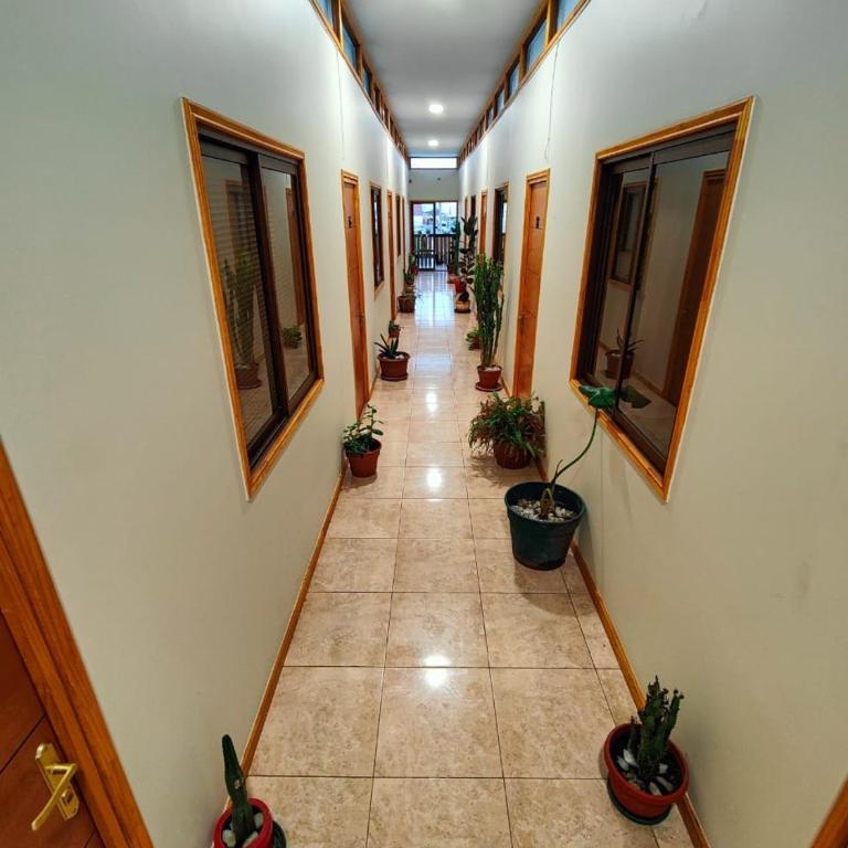Hostal Inthalassa Caldera - Habitación Doble con baño privado - 2 camas - 4