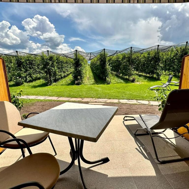 Appartements Weisshauserhof - Appartamento con 1 Camera da Letto e Terrazza - 5