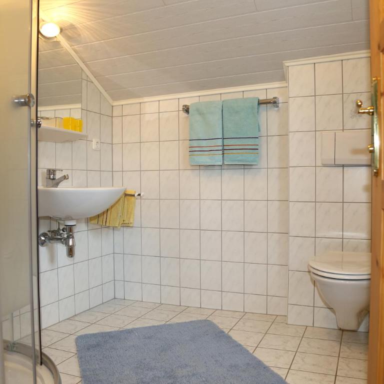 Haufhof-Pension am Bauernhof, Haus im Ennstal bei Schladming - Doppelzimmer mit Balkon - 12