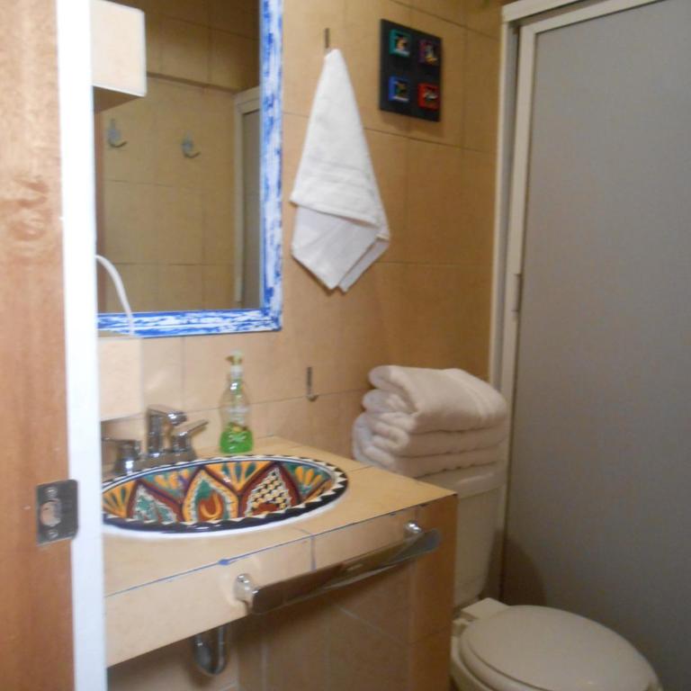 Lofts San Ángel - One-Bedroom Apartment - 2
