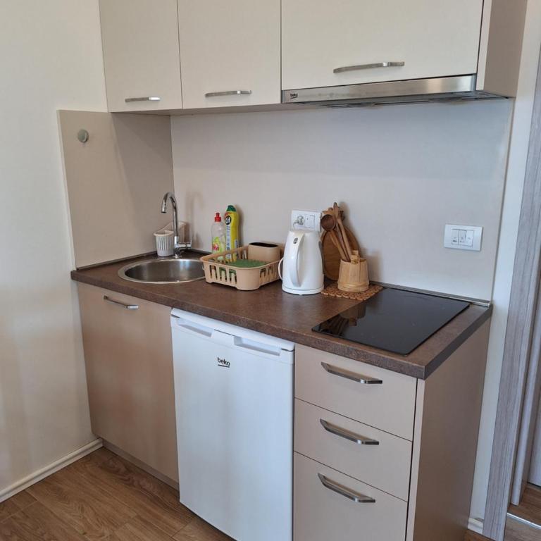 Rudovic Apartments - Apartman sa 1 Spavaćom Sobom - 7