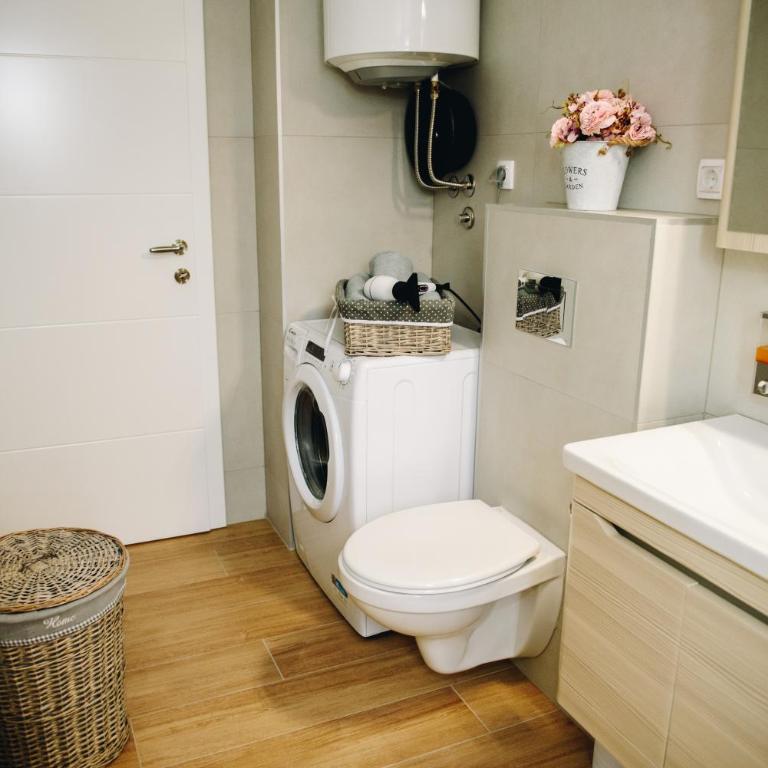Koviljački raj - Apartman sa 1 Spavaćom Sobom - 18