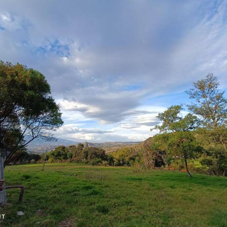Buena vista, espacio natural. - Casa - 20