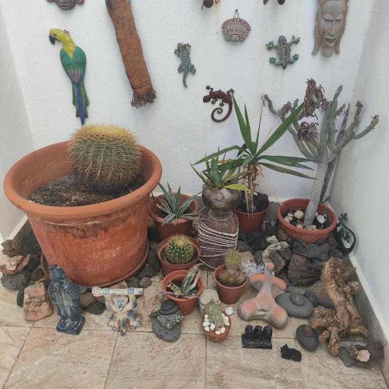 Love for Lanzarote holidays house - Loft - 21