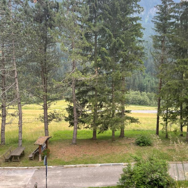 Mazzin Raggio di Sole - Monolocale - 48