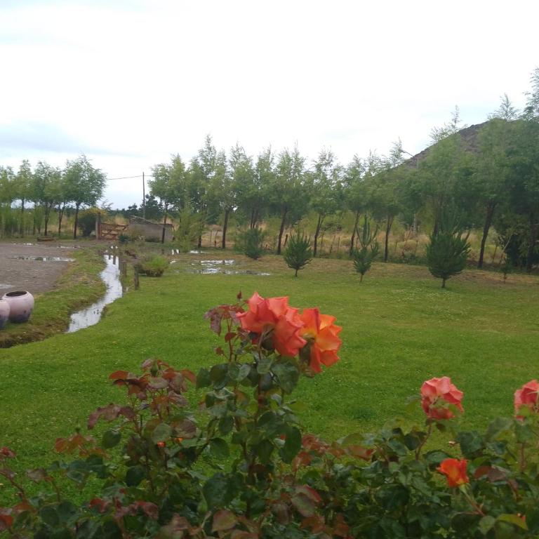 Ushua Aike (Nuestro Lugar) - Apartamento de 1 dormitorio - 7
