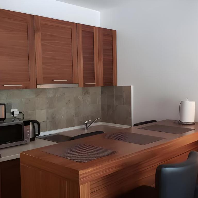 Apartments B229 & B230 in Aparthotel Vucko, Jahorina -private host - Apartment with Partial Mountain View (B229) - 12