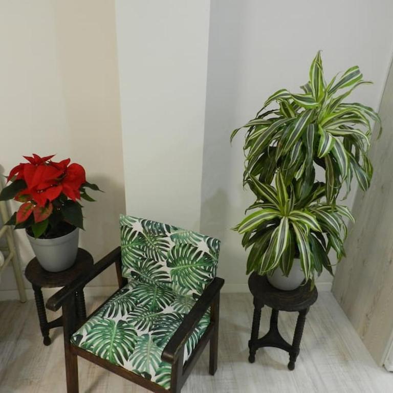 El Jardín de Paula - Apartamento de 2 dormitorios - 9