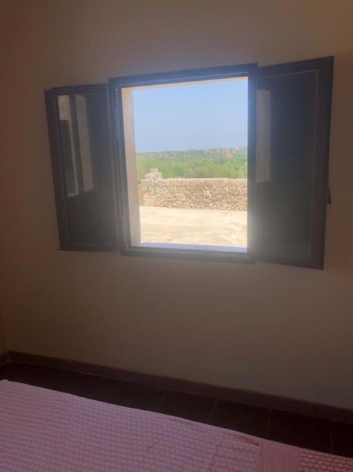 oliveraie de caractère - Casa con 2 Camere da Letto - 15