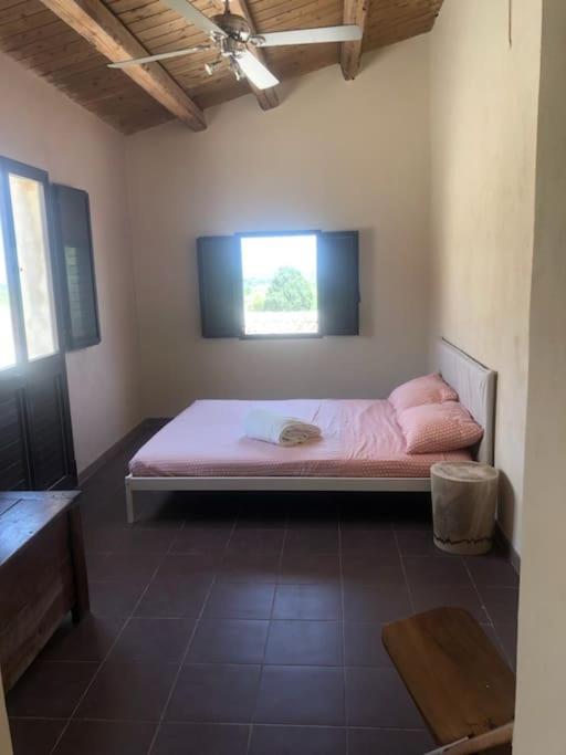 oliveraie de caractère - Casa con 2 Camere da Letto - 35