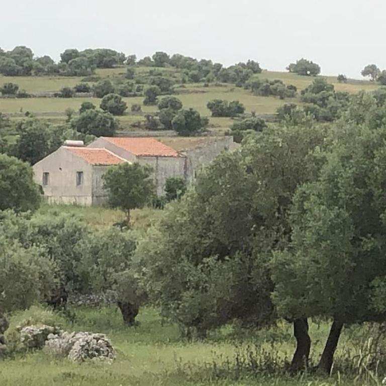 oliveraie de caractère - Casa con 2 Camere da Letto - 44