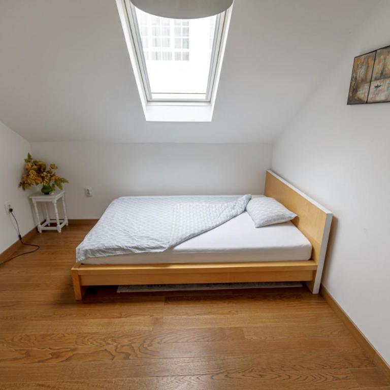 Oldest House Belgrade - Apartman sa 2 Spavaće Sobe - 10