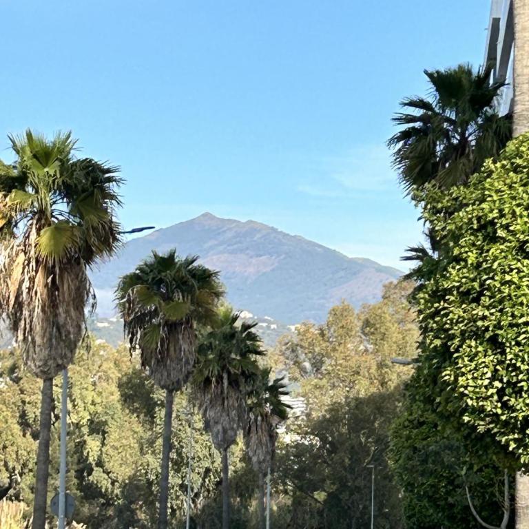 Residencia Jardin del Rio - Two-Bedroom Apartment - 40