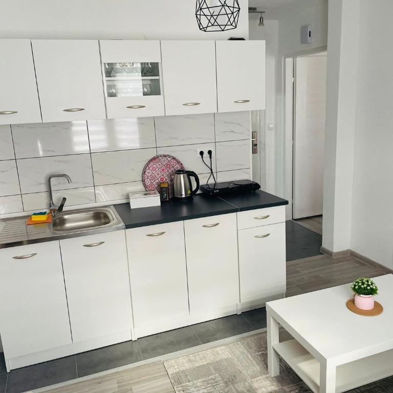 Apartment Zara Bihac - One-Bedroom Apartment - 19
