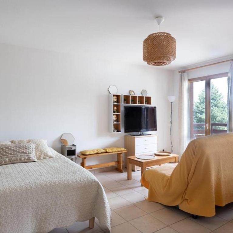 À Laye station Charmant T1 33 m2 - Appartement 1 Chambre - 1