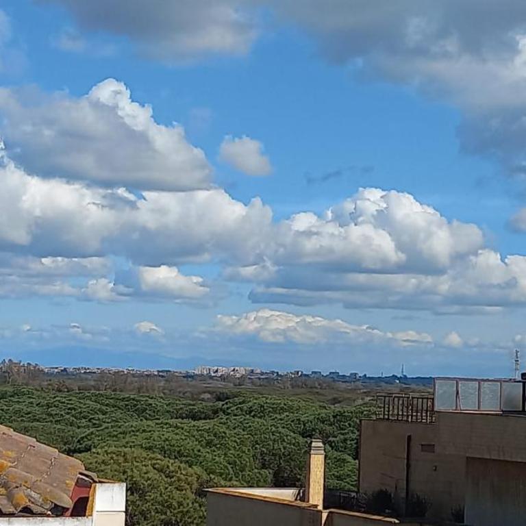 Attico Tra Cielo e Mare con terrazzo panoramico - Appartamento con 1 Camera da Letto - 16