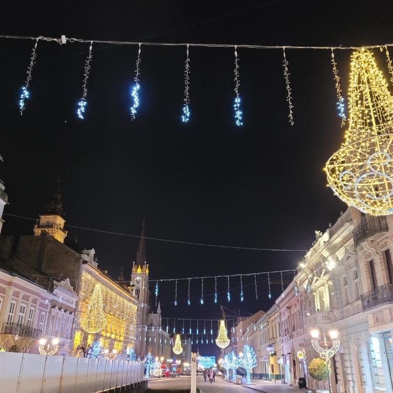Experience Novi Sad Residence - Apartman sa 2 Spavaće Sobe - 47