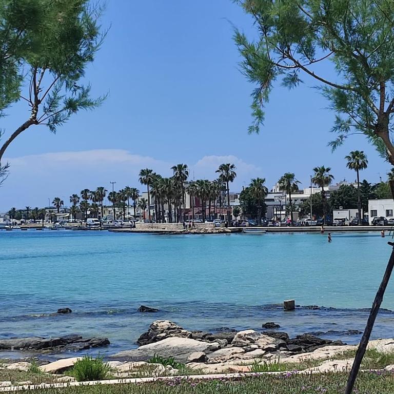 SCIROCCO by SALENTO OASIS - Apartment with Terrace - 11