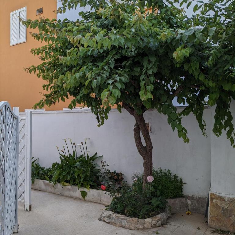 SCIROCCO by SALENTO OASIS - Apartment with Terrace - 15