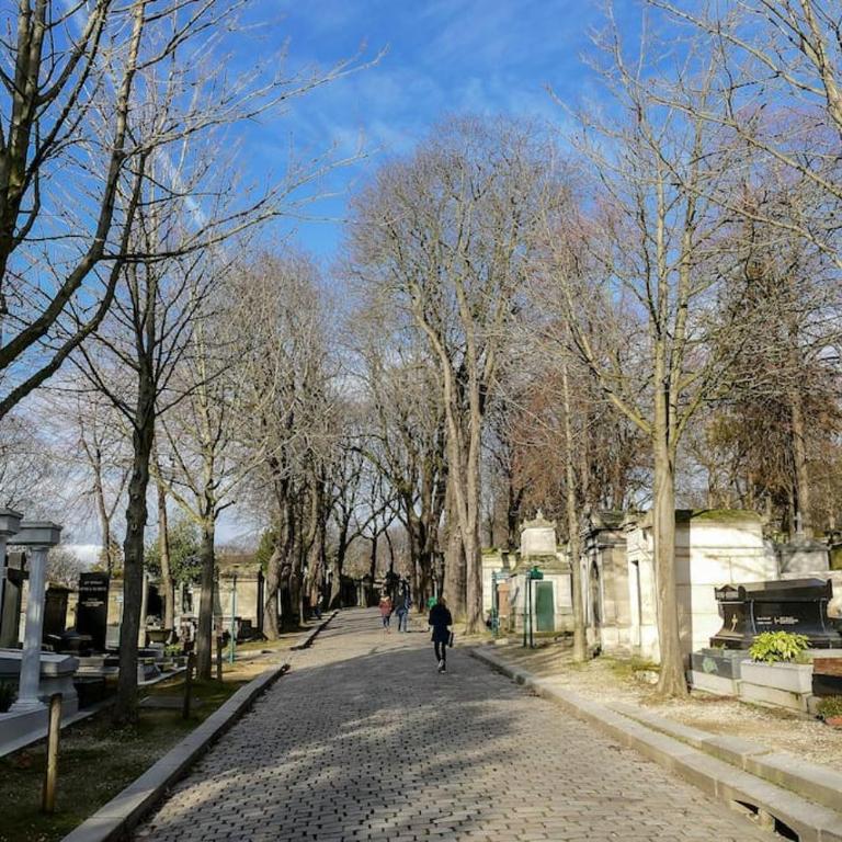 Appartement lumineux Père Lachaise - Appartement 1 Chambre - 13