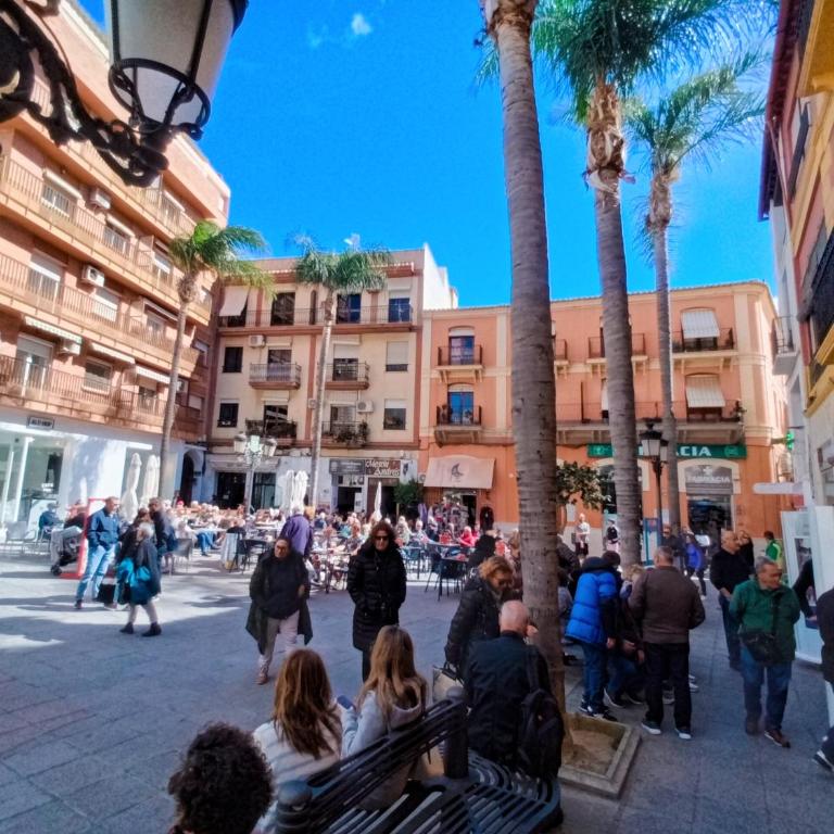 Apartamento Estudio Balcon - Estudio con balcón - 53