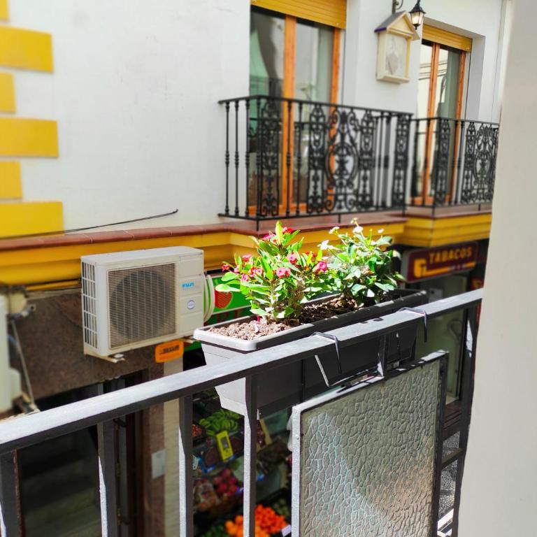 Apartamento Estudio Balcon - Estudio con balcón - 13