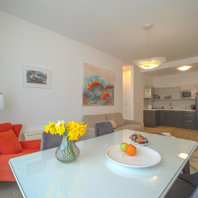 Amare Luxury Apartments - Apartman sa Pogledom na Planinu - 12