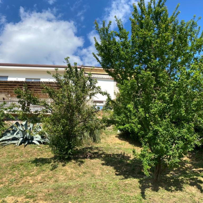 Villa Patrizia Pietrasanta - Appartamento con Vista Mare - 14