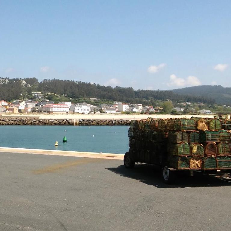 Apartamento de Pascualin con jardin privado en Ortigueira - Apartamento de 1 dormitorio - 16