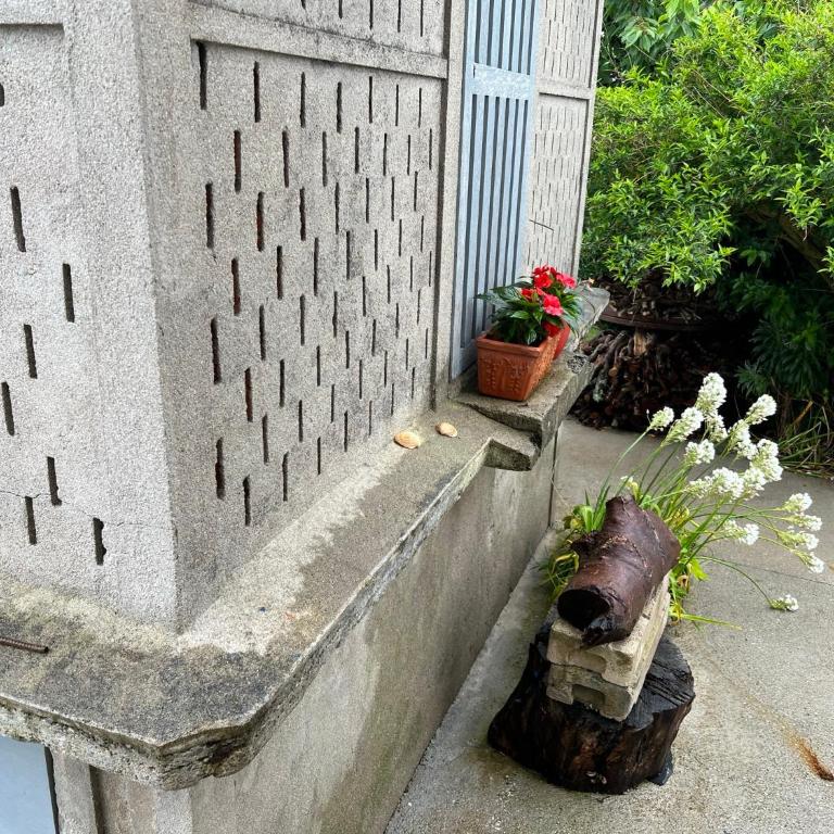 Apartamento de Pascualin con jardin privado en Ortigueira - Apartamento de 1 dormitorio - 30
