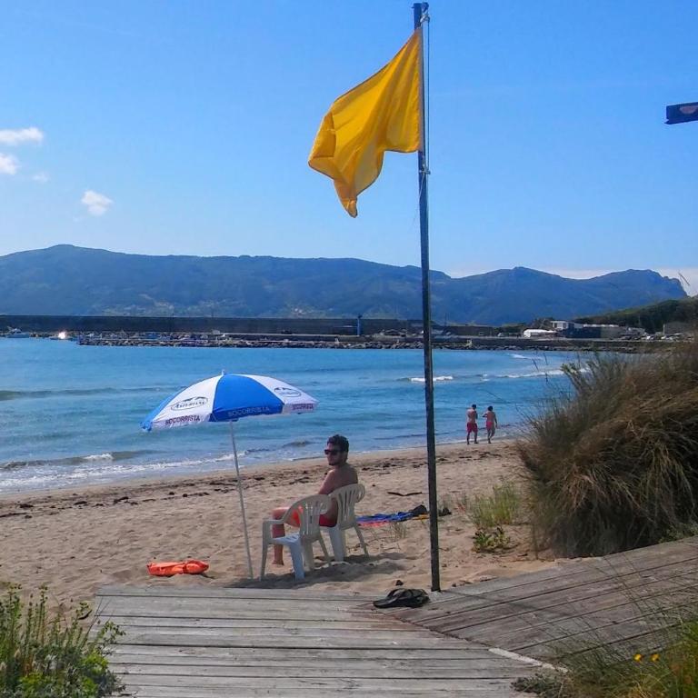 Apartamento de Pascualin con jardin privado en Ortigueira - Apartamento de 1 dormitorio - 32