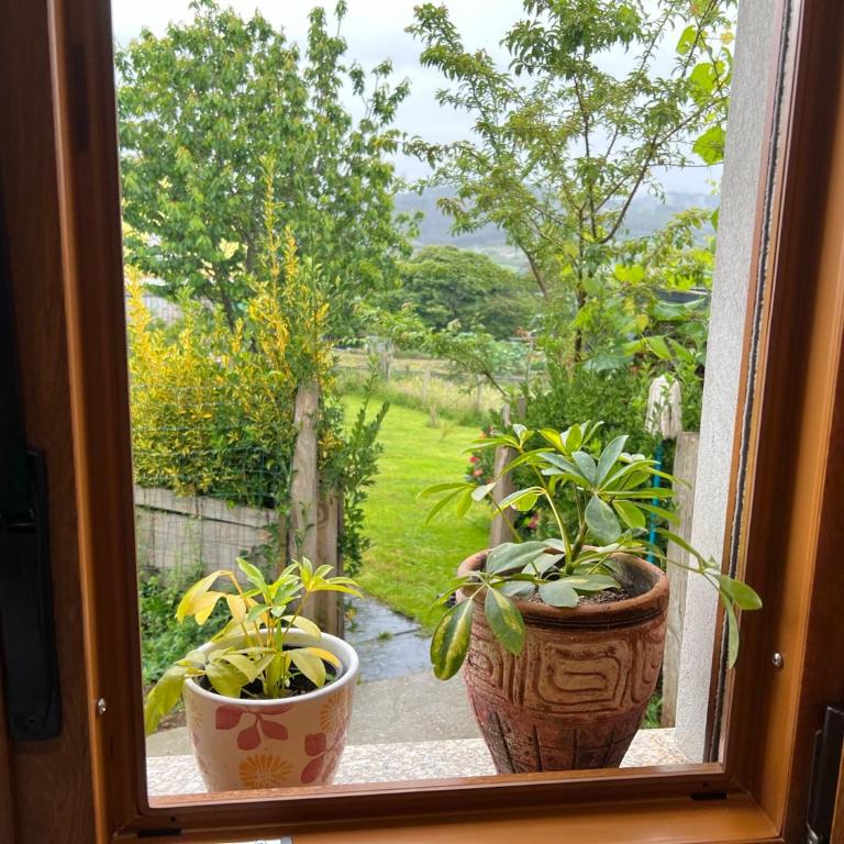 Apartamento de Pascualin con jardin privado en Ortigueira - Apartamento de 1 dormitorio - 34