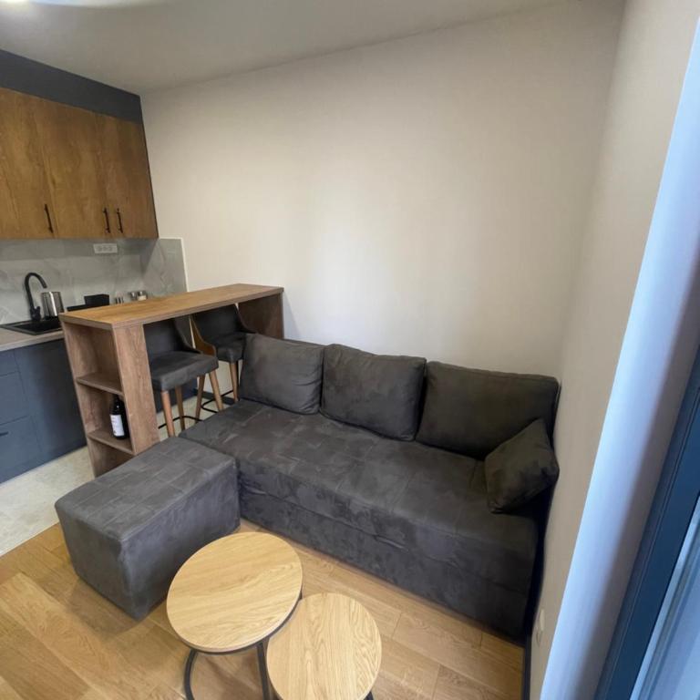 Jutarnja Zvezda Kop - Apartman sa 1 Spavaćom Sobom - 14