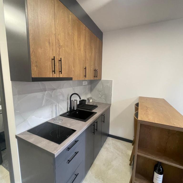 Jutarnja Zvezda Kop - Apartman sa 1 Spavaćom Sobom - 9