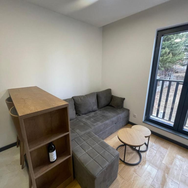 Jutarnja Zvezda Kop - Apartman sa 1 Spavaćom Sobom - 15