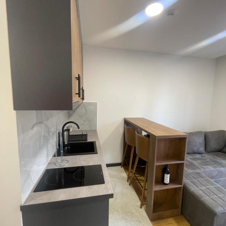 Jutarnja Zvezda Kop - Apartman sa 1 Spavaćom Sobom - 11