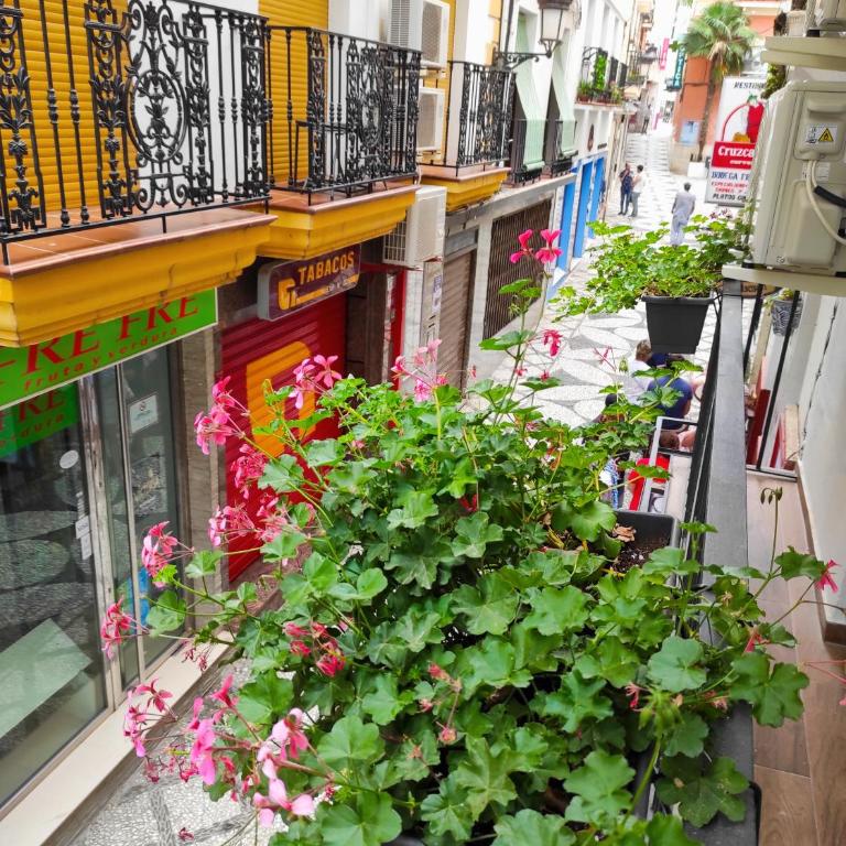 Apartamento Estudio Balcon - Estudio con balcón - 18