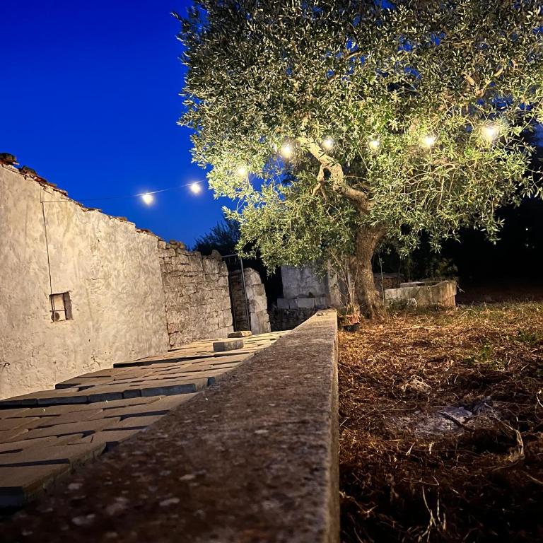 Nevier Trullo - Casa con 3 Camere da Letto - 13
