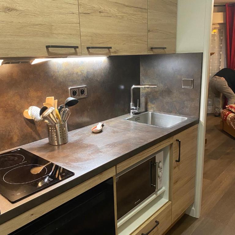La Tarentaise. - Appartement 1 Chambre - 3