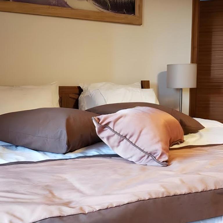 Apartments B229 & B230 in Aparthotel Vucko, Jahorina -private host - Apartment with Partial Mountain View (B230) - 4