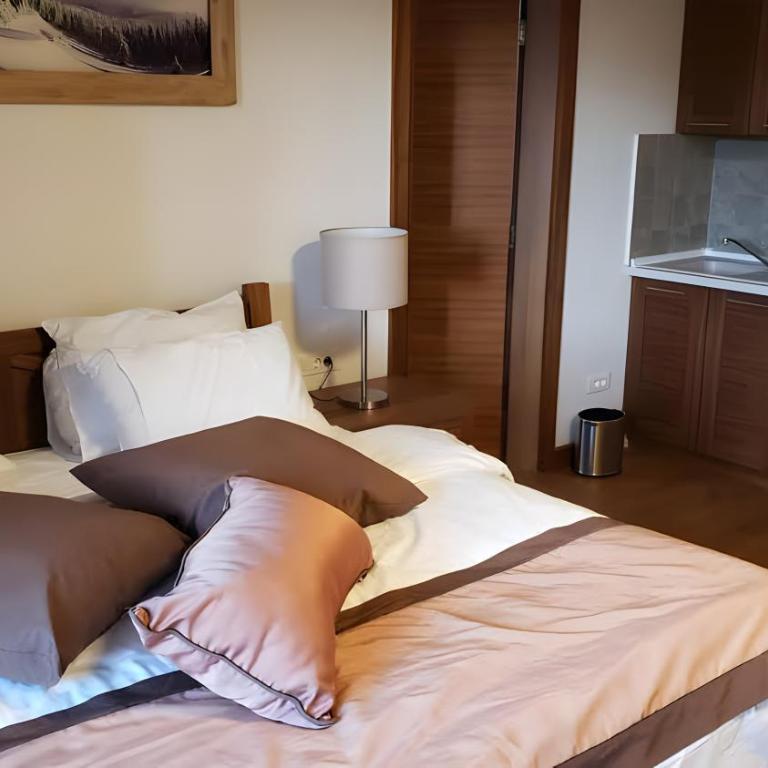Apartments B229 & B230 in Aparthotel Vucko, Jahorina -private host - Apartment with Partial Mountain View (B230) - 14