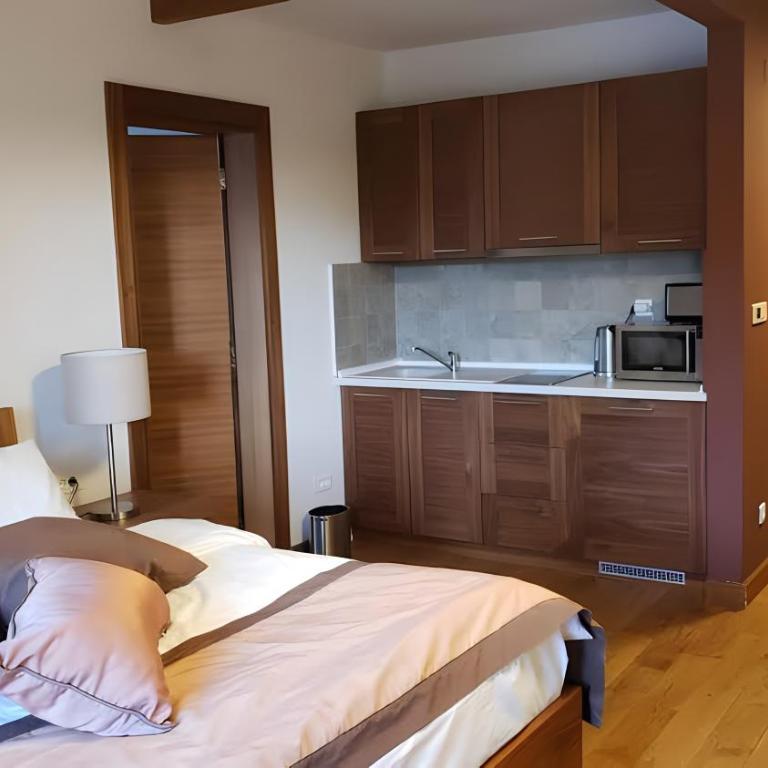 Apartments B229 & B230 in Aparthotel Vucko, Jahorina -private host - Apartment with Partial Mountain View (B230) - 29