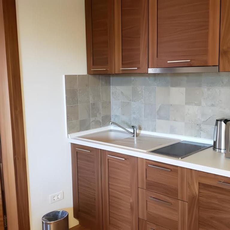 Apartments B229 & B230 in Aparthotel Vucko, Jahorina -private host - Apartment with Partial Mountain View (B230) - 30