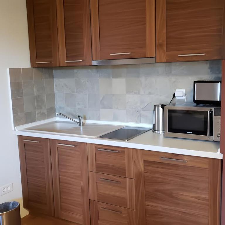 Apartments B229 & B230 in Aparthotel Vucko, Jahorina -private host - Apartment with Partial Mountain View (B230) - 33