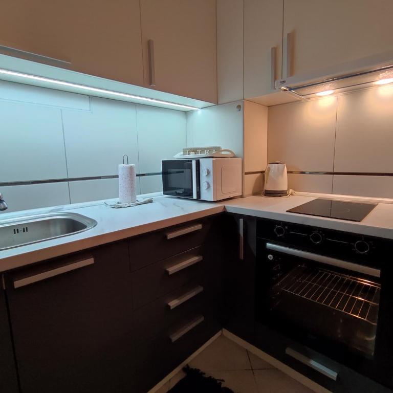 Apartman Green City with garage - One-Bedroom Apartment - 13