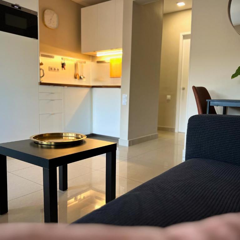 Valparaíso Apartments Flamingo - One-Bedroom Apartment with Pool View - 16